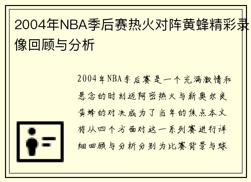 2004年NBA季后赛热火对阵黄蜂精彩录像回顾与分析