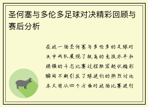 圣何塞与多伦多足球对决精彩回顾与赛后分析